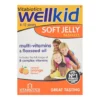 Vitabiotics | Vitabiotics Wellkid Soft Jelly 30 Pastilles Natural Orange Flavour