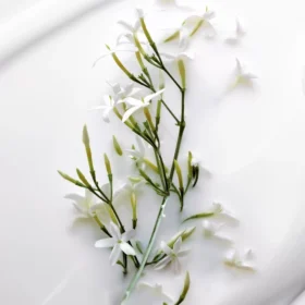 Dior J'adore Beautifying Body Milk 200ml