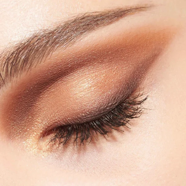 Dior Diorshow 5 Couleurs Couture Eyeshadow Palette