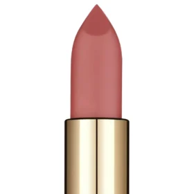 Loreal Paris Color Riche Matte Addiction Lipstick 24g